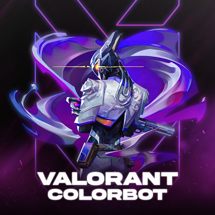 Valorant Colorbot